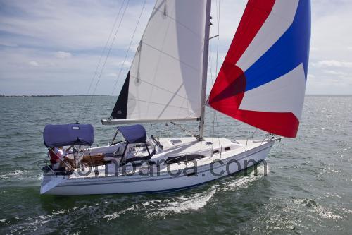 Catalina 385 scheda tecnica 